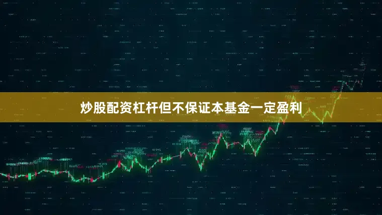 炒股配资杠杆但不保证本基金一定盈利
