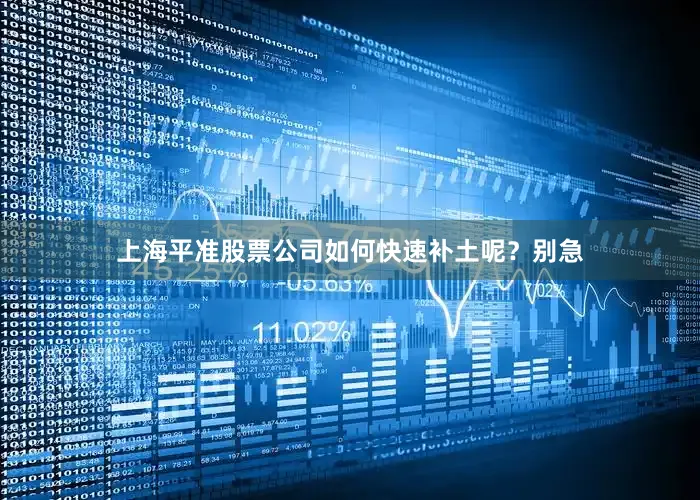 上海平准股票公司如何快速补土呢？别急